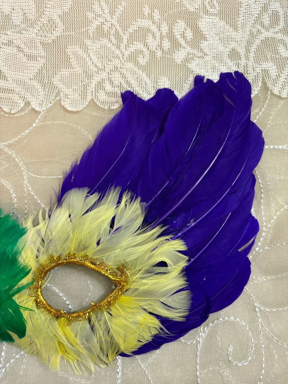 Mardi Gras Feather Masquerade Mask Costume Accessory